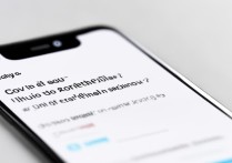 vivo屏幕显示区域怎么调小？设置里找不到选项怎么办？