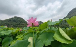 贵州省安顺市风景区