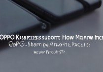 oppok9s 充电器支持多少 w 充电速率？oppok9s 充电速率是多少瓦？