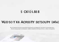 VIVO X6如何设置转接功能？详细步骤是什么？