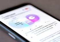 名人朋友圈怎么打开无图模式？设置步骤是什么？