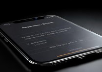 苹果唤醒屏幕怎么设置方法？长按侧键还是轻触唤醒？