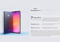 299元骁龙855小米9值不值得买？性价比与体验如何权衡？