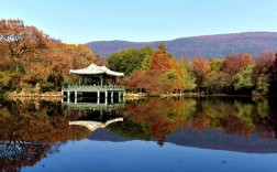 紫金山风景区图片