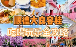 顺德有哪些不可错过的旅游景点？