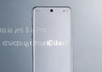 iqoo8Pro支持反向充电和OTG功能吗？