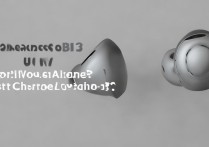 红米Buds3支持无线充电吗？快充功能有吗？