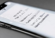 苹果7手机怎么显示英文？怎么设置回中文？