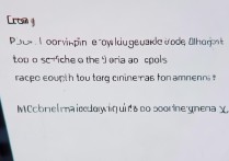 苹果手机开机是英文怎么切换成中文啊？