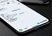 oppo手机微信发不了语音怎么回事