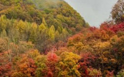 洋湖沟风景区收费吗