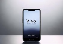 Vivo 手机在哪看内存
