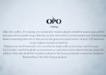 OPPO总结怎么写？OPPO工作总结模板范文