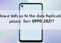 OPPO 2025年数据应用密码怎么设？
