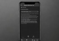 苹果7怎么设置显示实时网速？开启网速显示教程