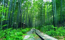 竹洞天风景区图片