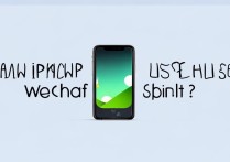 苹果手机可以微信分身吗