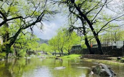 信阳董家河西河风景区