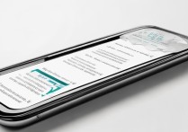 vivoy17t字体突然变大怎么办？教你快速恢复正常大小