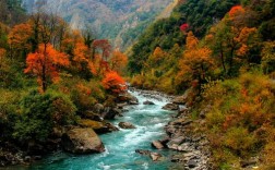 汶川卧龙风景区