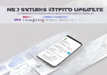 vivo69刷机教程详细步骤有哪些？