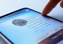 vivo手机怎么设置指纹
