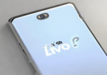 vivo 有金融借贷吗？