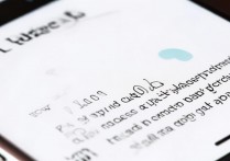 苹果 7 怎么查看不了流量监控，iPhone 7 流量统计不显示怎么办