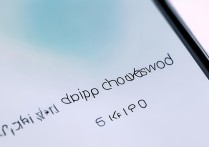 vivox6d怎么跳过密码