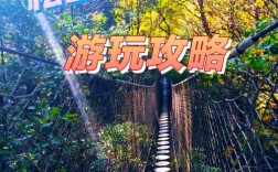 松山旅游攻略，如何规划一次完美的旅行体验？