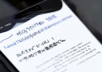 小米11放大功能怎么开启？设置方法步骤详解