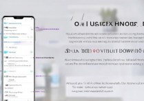 华为荣耀9X卡顿怎么解决？关闭卡顿方法有哪些？