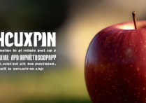 苹果拍照对焦是怎么弄？iPhone手机拍照对焦技巧详解