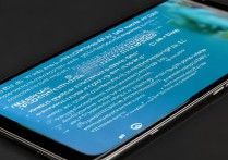 vivox5max不充电怎么办？手机没电怎么应急处理？