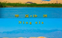 宁夏沙湖旅游攻略，如何规划一次难忘的旅行体验？