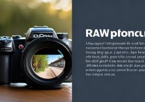 相机 RAW 格式和 JPEG 格式有何区别？