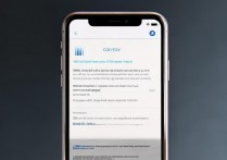 vivoy手机小v怎么打开？找不到入口怎么办？