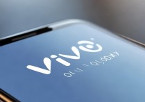 vivo手机有黄页功能吗