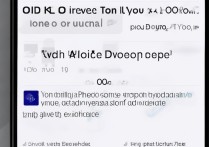 oppo手机如何关闭开发者模式？详细步骤是什么？