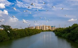 高明白鹭湖风景区