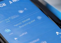 vivo手机怎么授权管理中心，vivo手机怎么设置应用权限管理