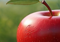 Apple创建