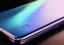 小米13限量定制色后盖是什么材质做的？