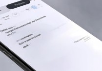 一加9pro支付保护功能在哪开启？设置方法详解