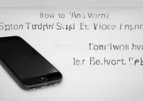 苹果4怎么关闭语音？苹果4语音控制怎么关闭