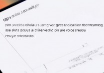oppo手机如何彻底关闭语音播报？设置路径在哪？