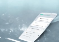 realme真我Q3Pro狂欢版支持WiFi6吗？网络格式有哪些？