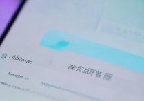 vivo手机激活时间怎么查？激活日期在哪看？
