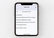 苹果应用怎么给加指纹解锁？设置步骤详解
