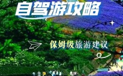 桐梓旅游攻略，如何规划一次完美的桐梓之旅？